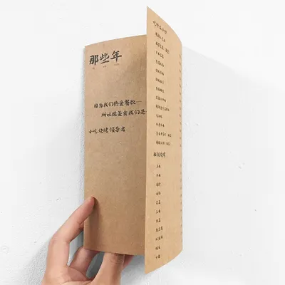 Papel kraft 250g/300g - TRÍPTICO